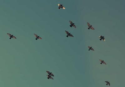 Bounce rate spike: share your checklist