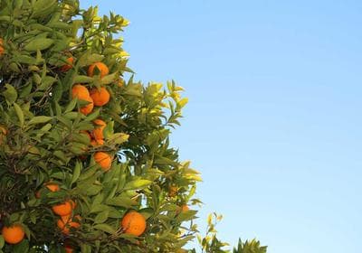 HubSpot email limits hitting us: alternatives?